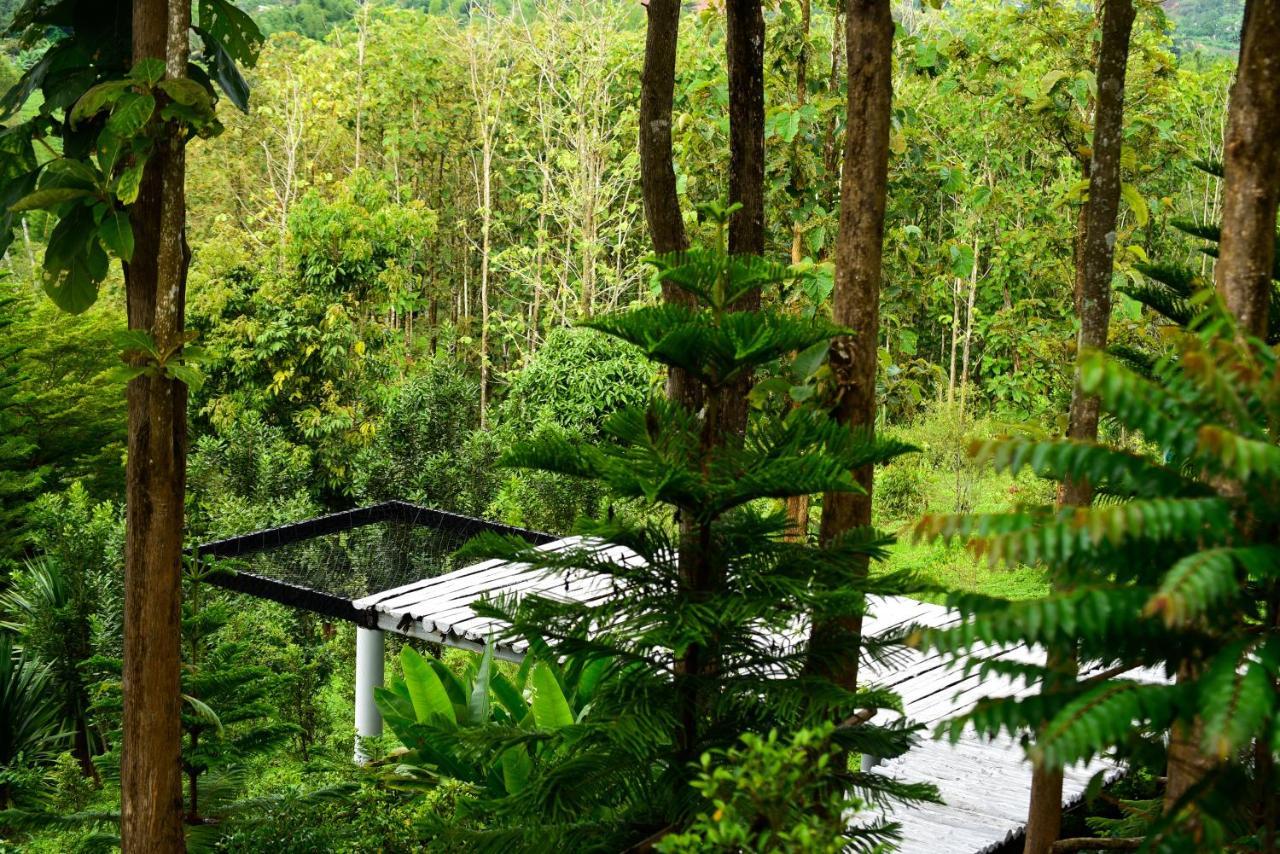 One&Only Homestay เขาค้อ ภายนอก รูปภาพ