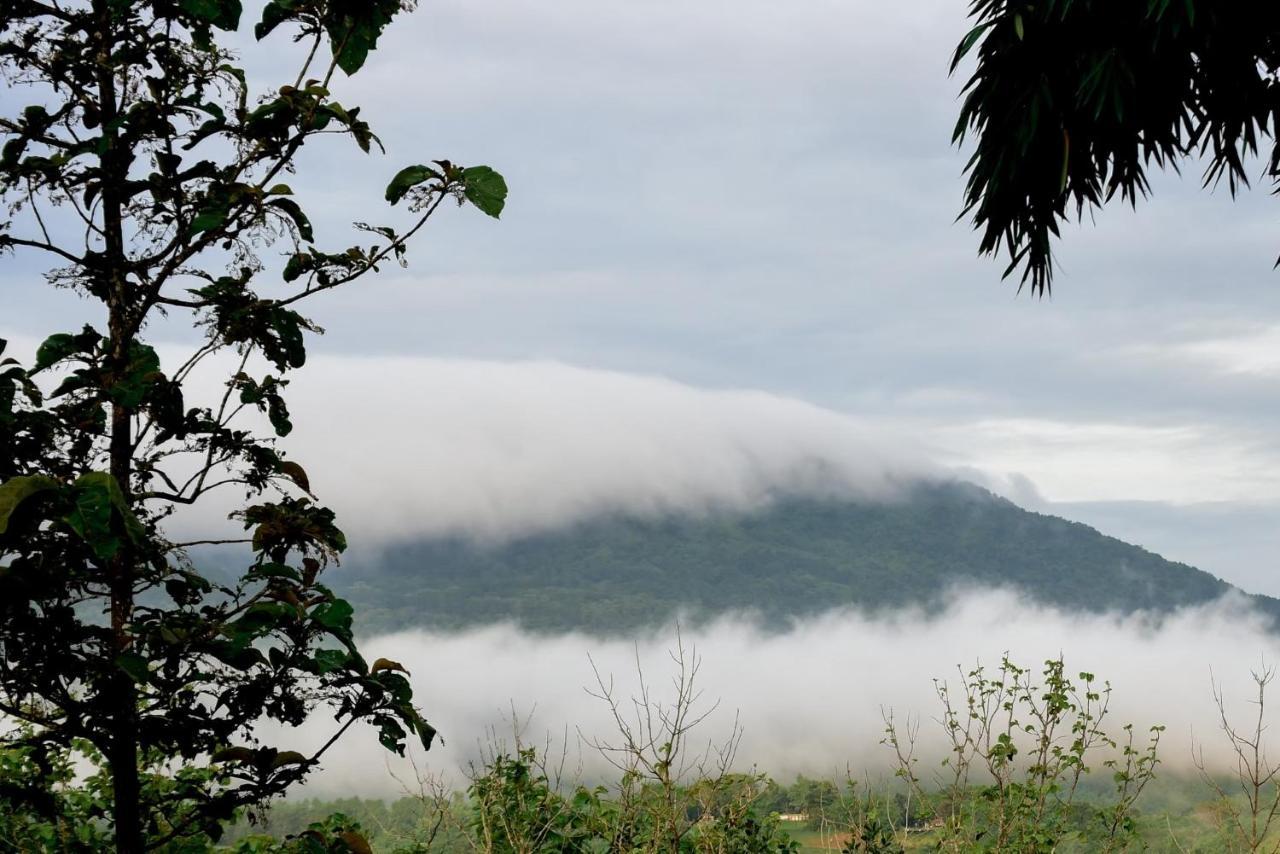 One&Only Homestay เขาค้อ ภายนอก รูปภาพ