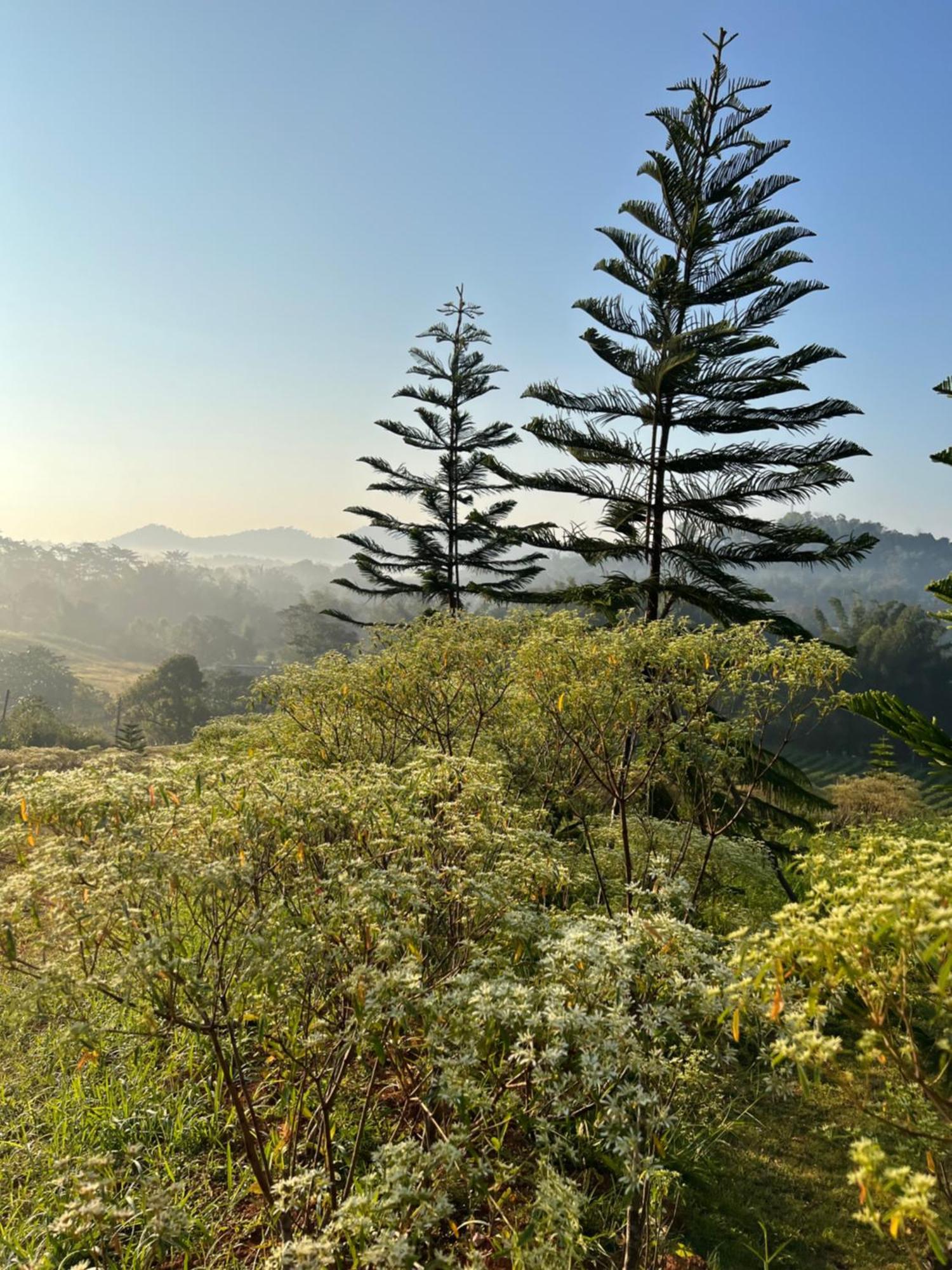 One&Only Homestay เขาค้อ ภายนอก รูปภาพ
